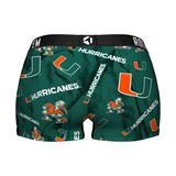 Miami Hurricanes - Logo All-Over