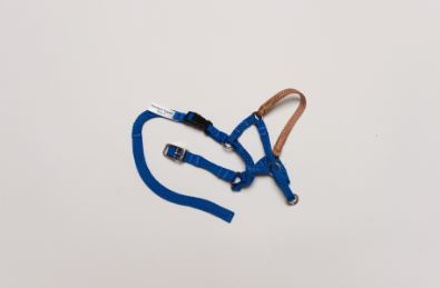 Comfort Trainer Size 2 Blue
