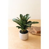 16 In Artificial Succulent Plant In A Pot