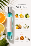 Tropical Amber Perfume Oil
