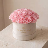 Classic Beige Suede Dome Box | Light Pink Roses