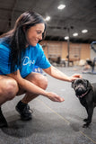 OnlyDogs - Tee