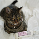 Pink Champagne Eau de Pooch Pet Fragrance and Hair Detangler Spray