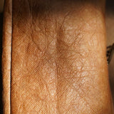 The Toiletry Bag