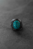 Into the Storm Ring