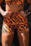 Women's High-Waisted Seamless Front Compression Training Shorts | Tiger Snipe