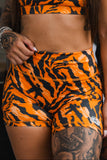 Women's High-Waisted Seamless Front Compression Training Shorts | Tiger Snipe