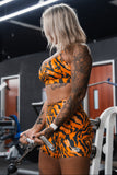 Women's High-Waisted Seamless Front Compression Training Shorts | Tiger Snipe
