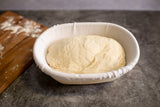 Cotton Brotform Liner, Multiple sizes
