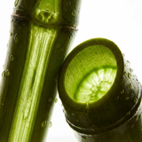 Bamboo Eau de Parfum