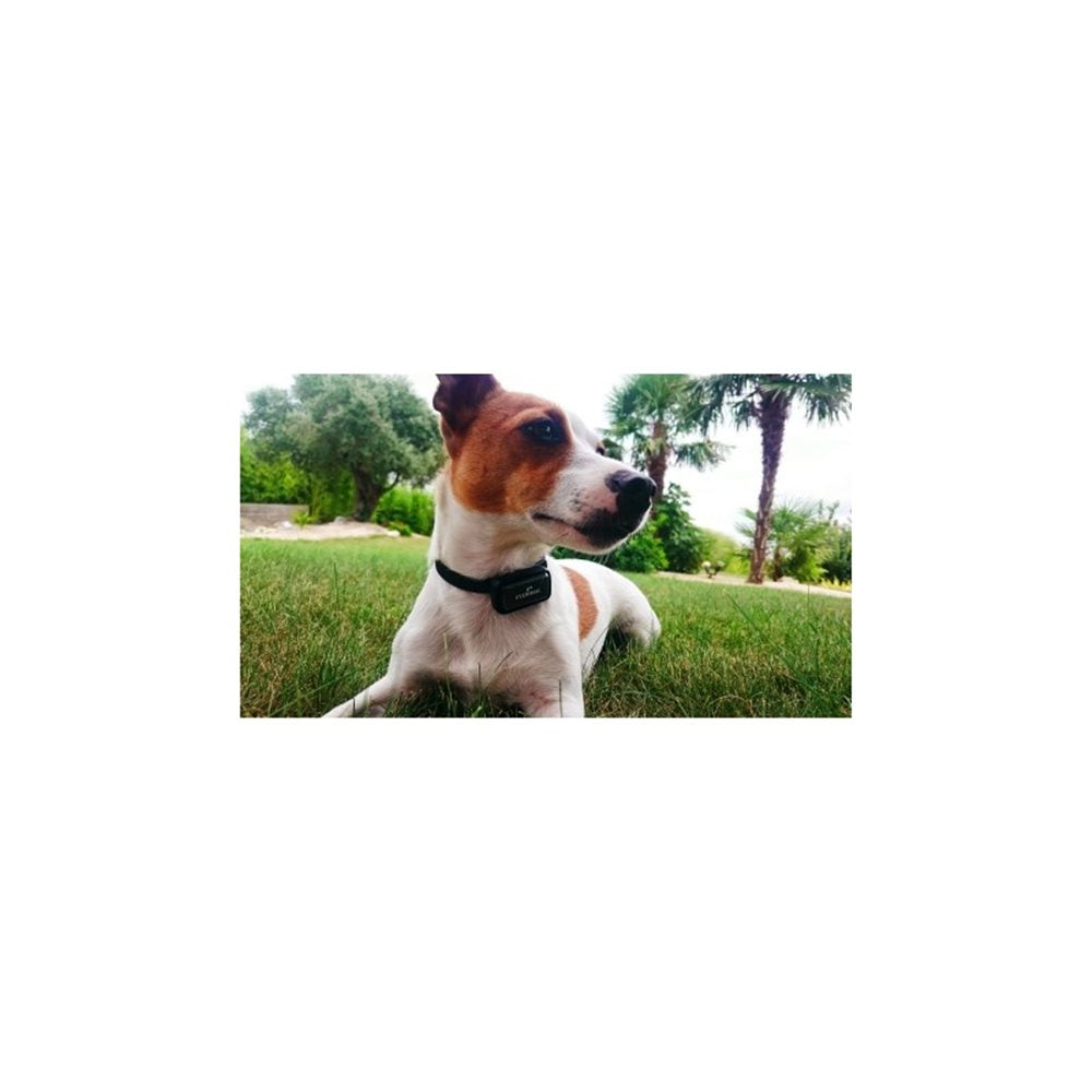 Pet Data Recorder