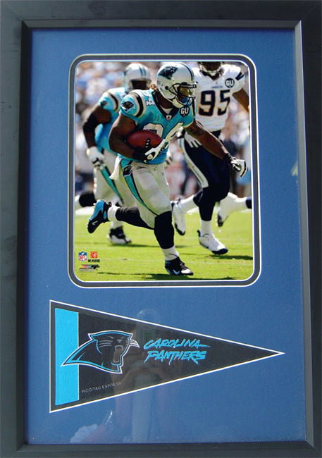 12X18 Pennant Frame - Deangelo Williams Carolina Panthers