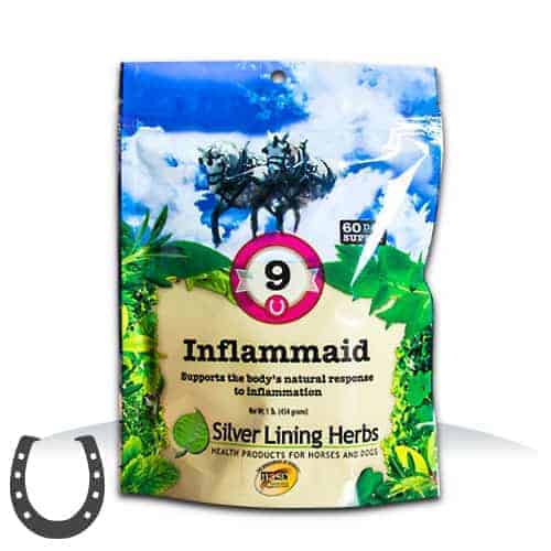 #9 Inflammaid