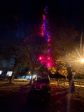 Marshin Whips: RGB Lunar Laser Light Kit