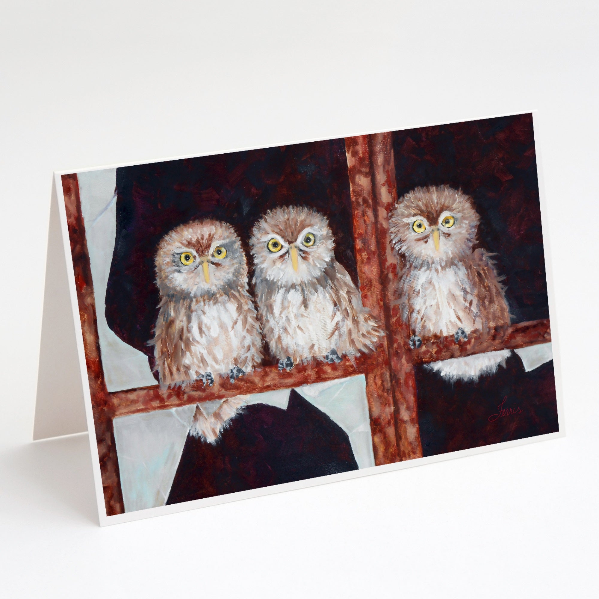 Owls By Ferris Hotard Greeting Cards And Envelopes Pack Of 8