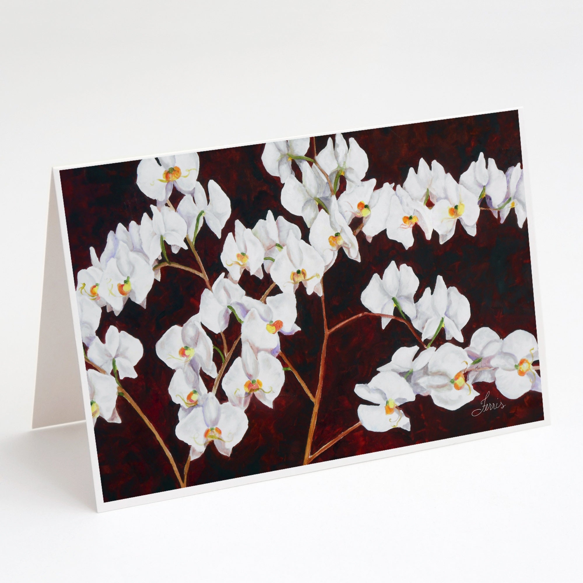 Orchids By Ferris Hotard Greeting Cards And Envelopes Pack Of 8