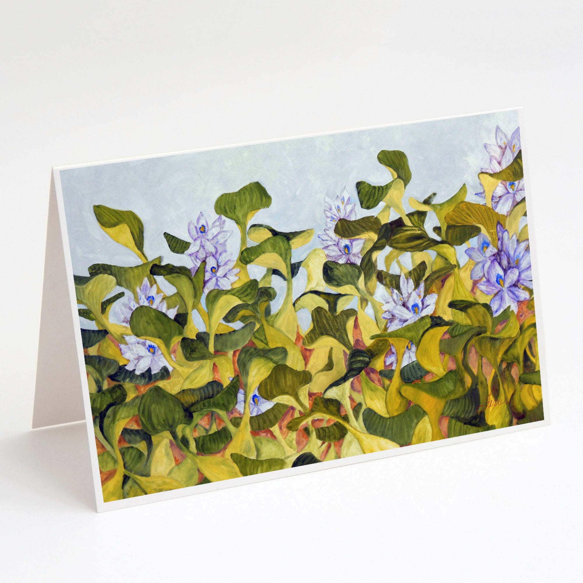 Water Hyacinth By Ferris Hotard Greeting Cards And Envelopes Pack Of 8