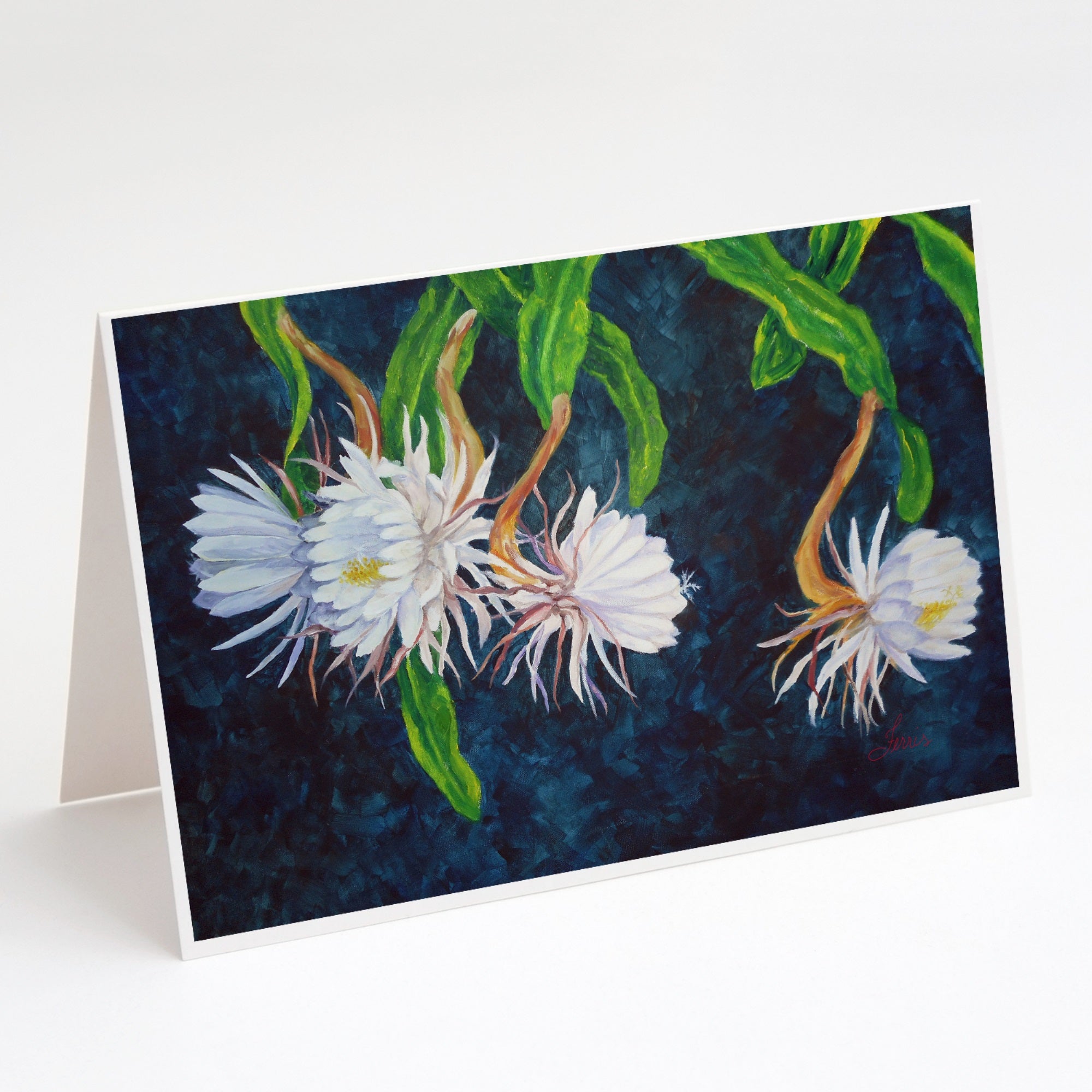 Night Blooming Cereus By Ferris Hotard Greeting Cards And Envelopes Pack Of 8