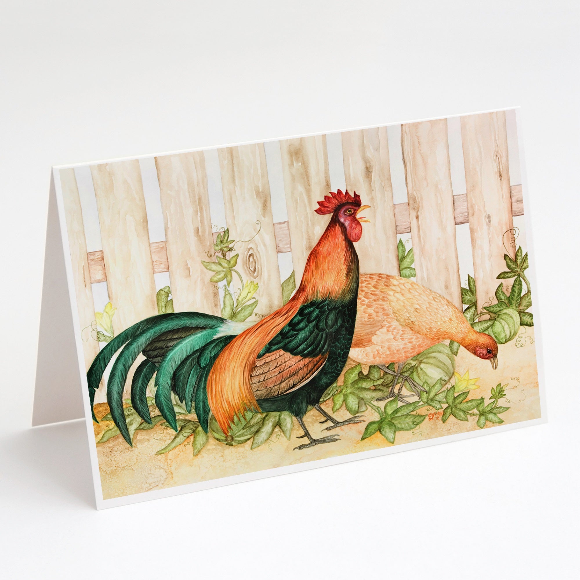Chicken And Rooster By Ferris Hotard Greeting Cards And Envelopes Pack Of 8