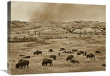 American Bison Herd Grazing On Shortgrass Prairie, Theodore Roosevelt National Park, North Dakota-Canvas Art-24X18
