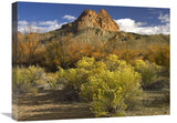 Mitten Rock, New Mexico-Canvas Art-24X18