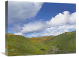Temescal Hills, Southern California-Canvas Art-24X18