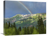 Rainbow Over Brown Mountain, Colorado-Canvas Art-22X18.26