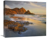 Bean Hollow Beach, Big Sur, California-Canvas Art-22X19.36