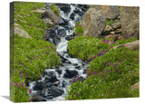 Porphyry Creek Near Silverton, Colorado-Canvas Art-24X18