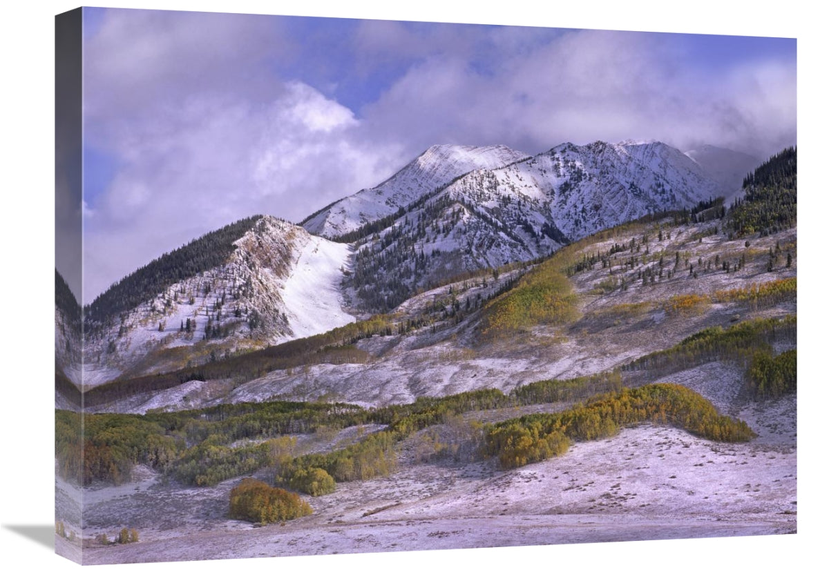 Elk Mountains With Snow In Autumn, Colorado-Canvas Art-24X18