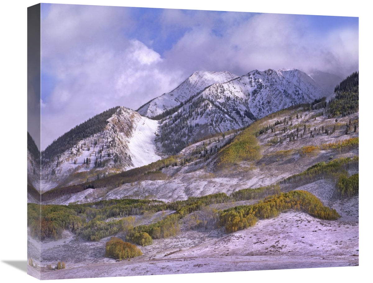 Elk Mountains With Snow In Autumn, Colorado-Canvas Art-22X18.26