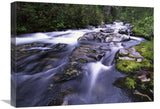Paradise River, Mt Rainier National Park, Washington-Canvas Art-24X18