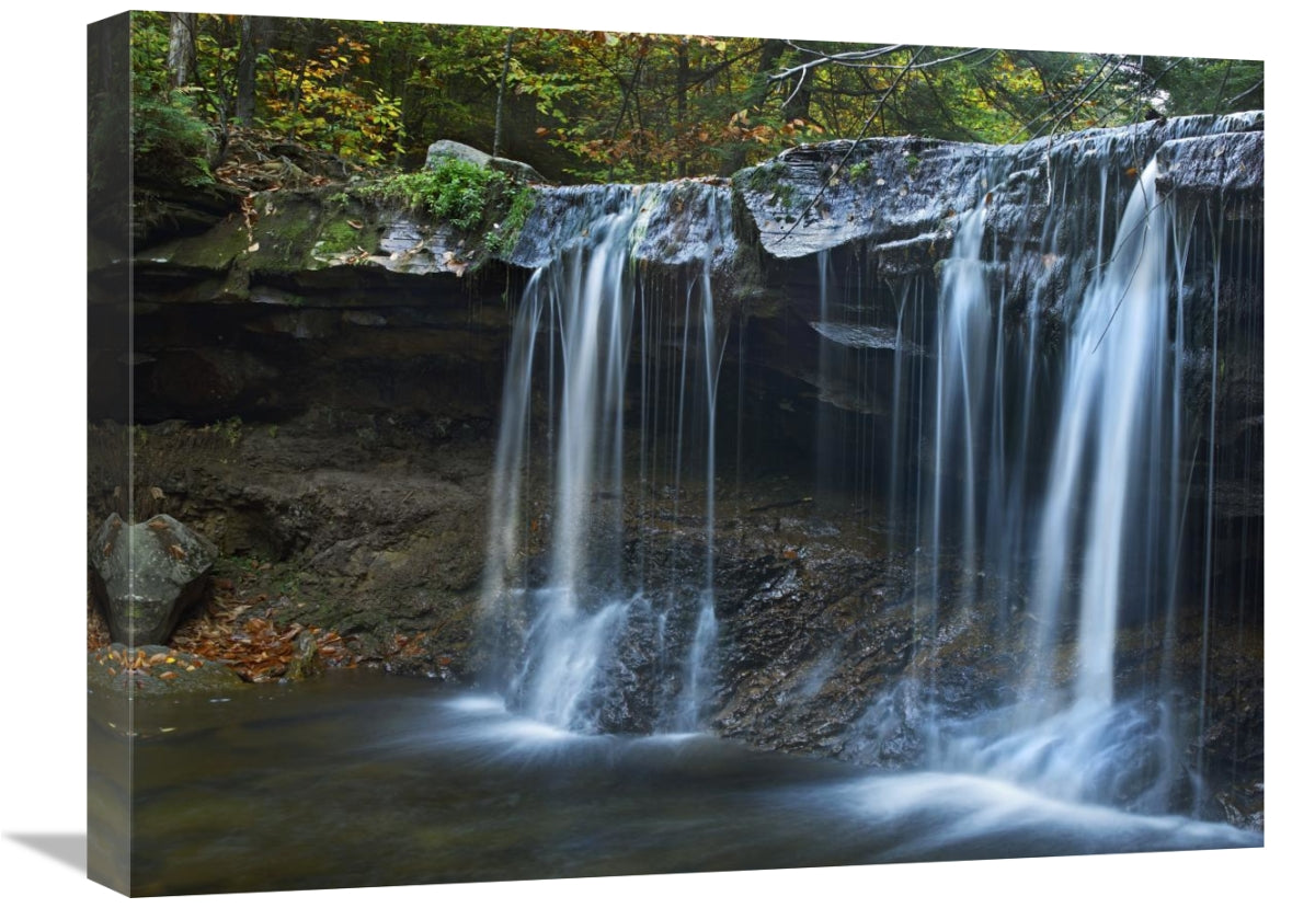 Cayuga Falls, Ricketts Glen State Park, Pennsylvania-Canvas Art-24X18