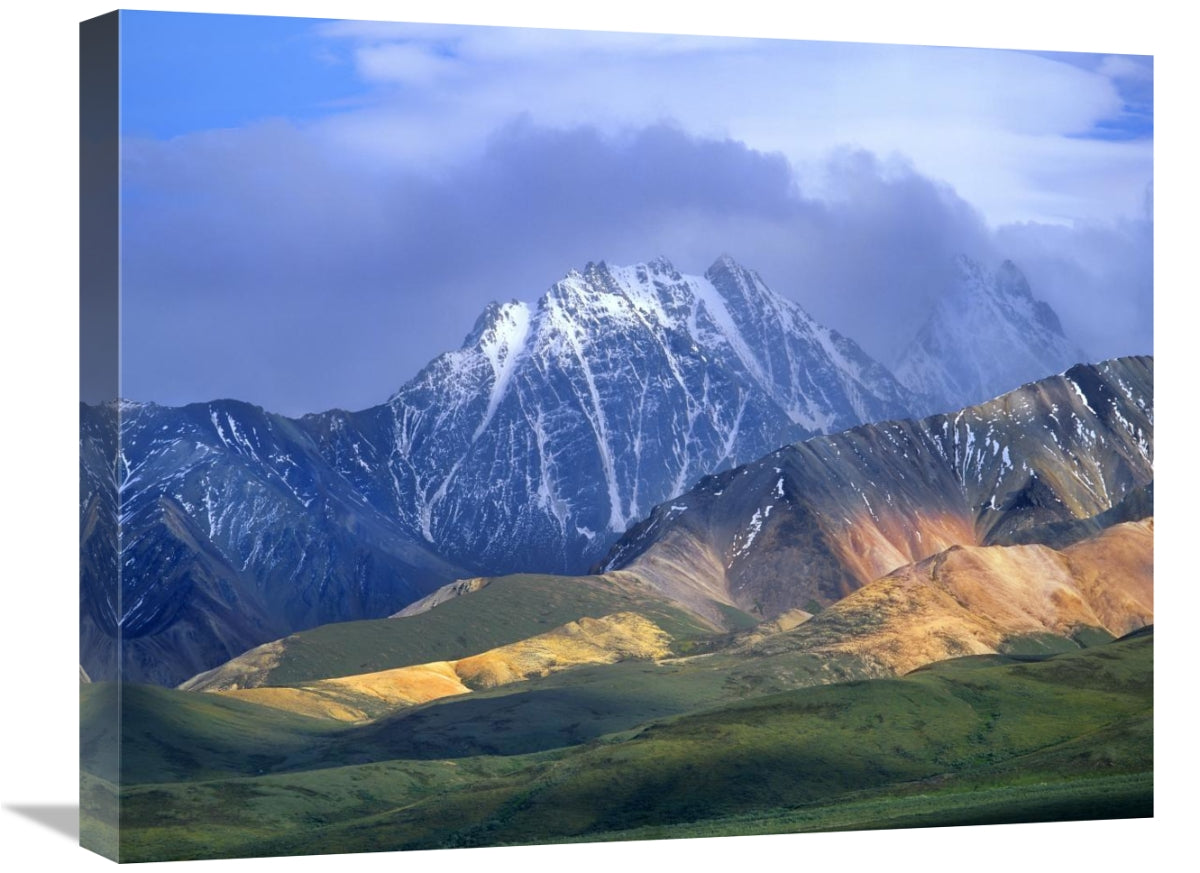 Alaska Range And Foothills, Denali National Park, Alaska-Canvas Art-24X20