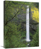 Latourell Falls, Columbia River Gorge Near Portland, Oregon-Canvas Art-18X24