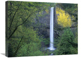 Latourell Falls, Columbia River Gorge Near Portland, Oregon-Canvas Art-24X18