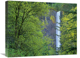 Latourell Falls, Columbia River Gorge Near Portland, Oregon-Canvas Art-24X20