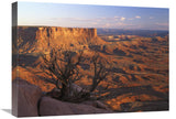 View From Green River Overlook, Canyonlands National Park, Utah-Canvas Art-24X18