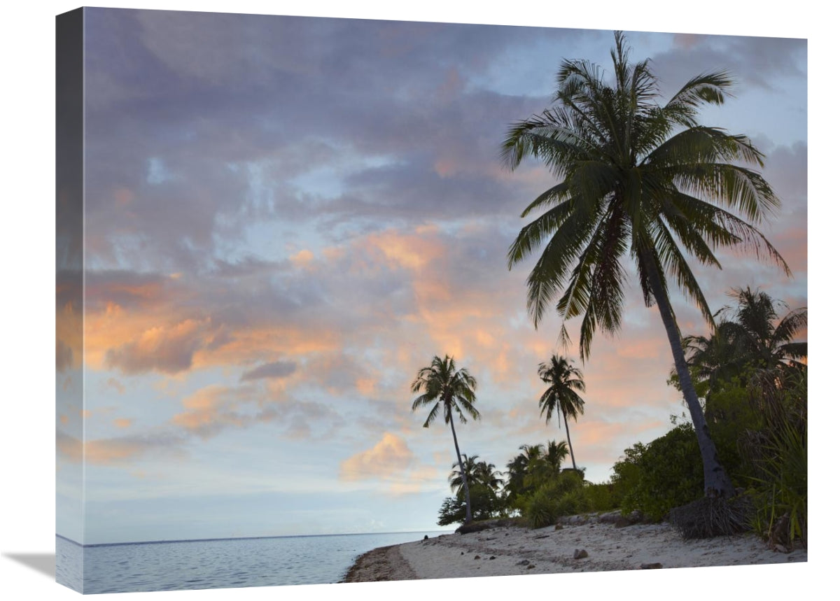 Coconut Palm Trees, Pamilacan Island, Bohol Island, Philippines-Canvas Art-24X18