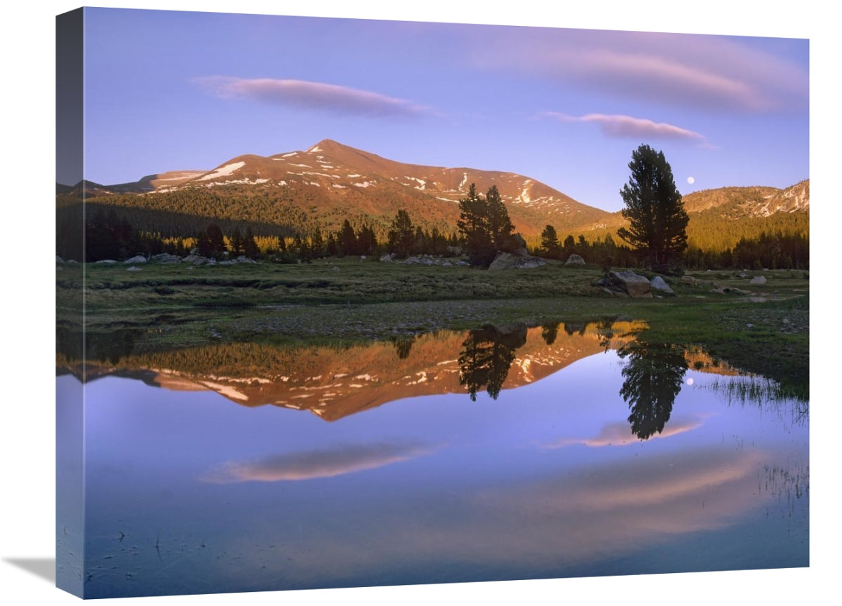 Mount Dana Reflected In Pond, Yosemite National Park, California-Canvas Art-24X18