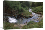 La Plata River, La Plata Canyon, San Juan National Forest, Colorado-Canvas Art-24X18