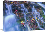 Laurel Creek Cascades, Great Smoky Mountains National Park, Tennessee-Canvas Art-24X18