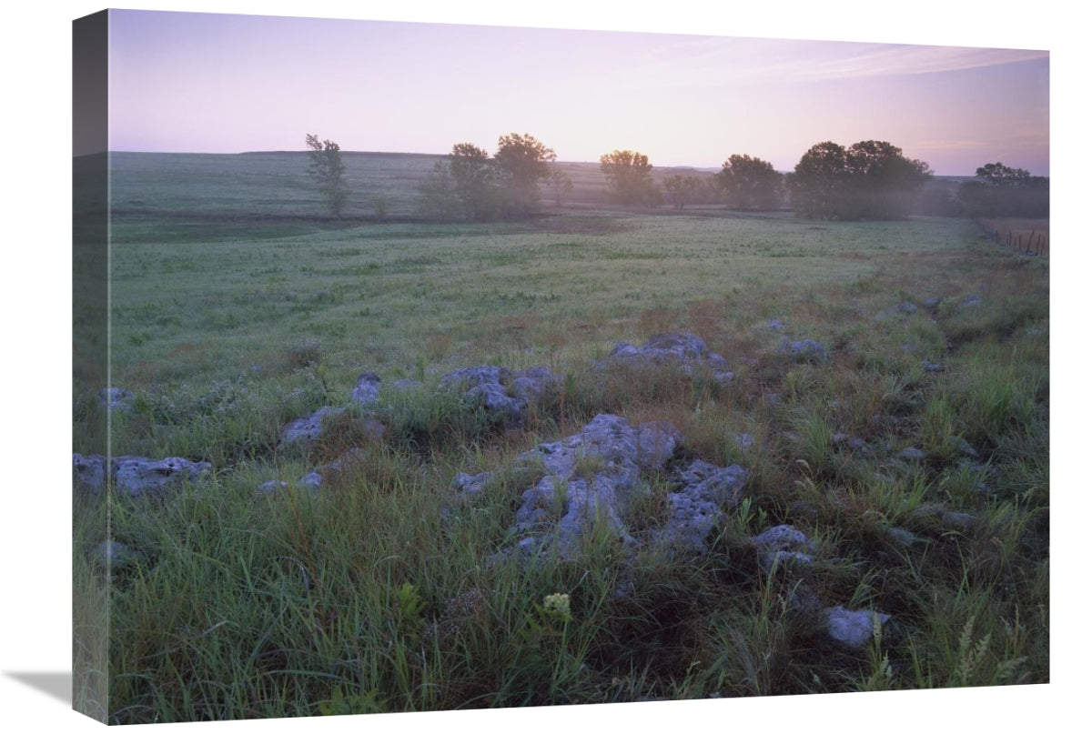 Misty Morning Over Prairie, Tallgrass Prairie National Preserve, Kansas-Canvas Art-24X18