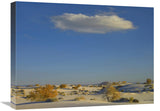 Cloud Over White Sands National Monument, Chihuahuan Desert, New Mexico-Canvas Art-24X18