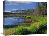 Nutzotin Mountains And Boreal Forest Reflected In Receding Lake, Alaska-Canvas Art-24X20