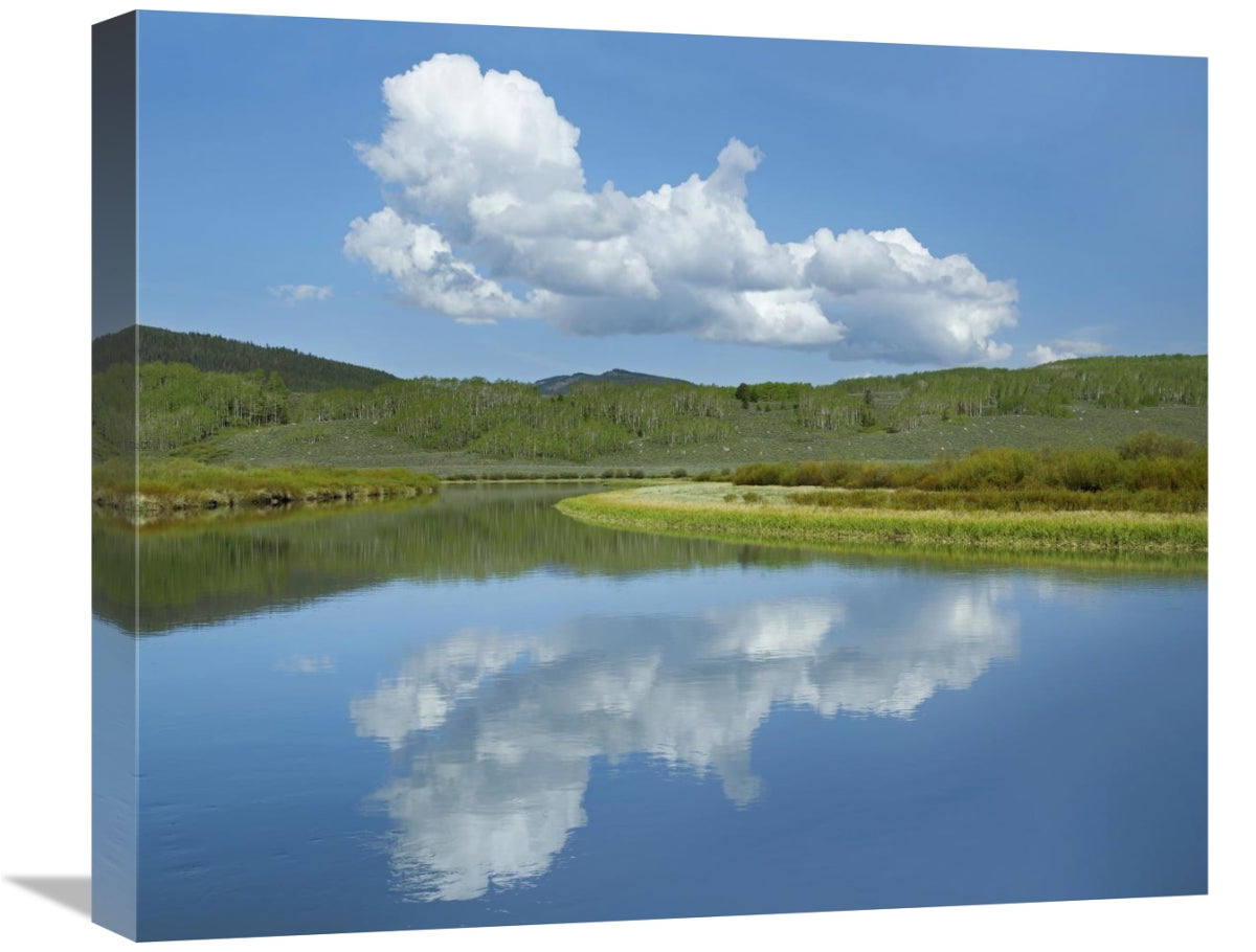 Cumulus Clouds Over Green River, Bridger-Teton National Forest, Wyoming-Canvas Art-22X18.26