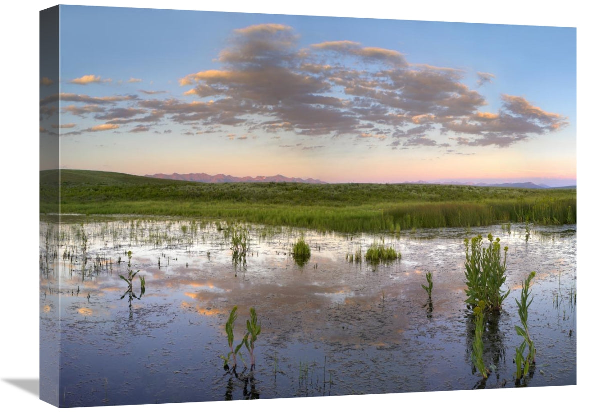Reflection Of Clouds In The Water, Arapaho National Wildlife Refuge, Colorado-Canvas Art-24X18
