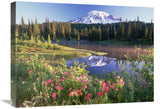 Mt Rainier And Wildflowers At Reflection Lake, Mt Rainier National Park, Washington-Canvas Art-24X18
