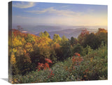 Deciduous Forest In Autumn, Blue Ridge Mountains From Doughton Park, North Carolina-Canvas Art-22X18.26