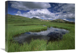 Cumulus Clouds Reflected In Pond At Guanella Pass, Arapaho National Forest, Colorado-Canvas Art-24X18
